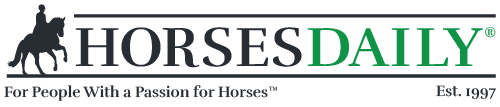 HorsesDaily Logo
