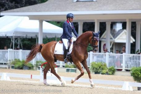 Cesar Parra, Don Cesar, The Markel/USEF Young and Developing Horse National Championships