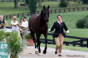 Tuesday's Dressage horse inspection. ( Photo: SusanJStickle.com)
