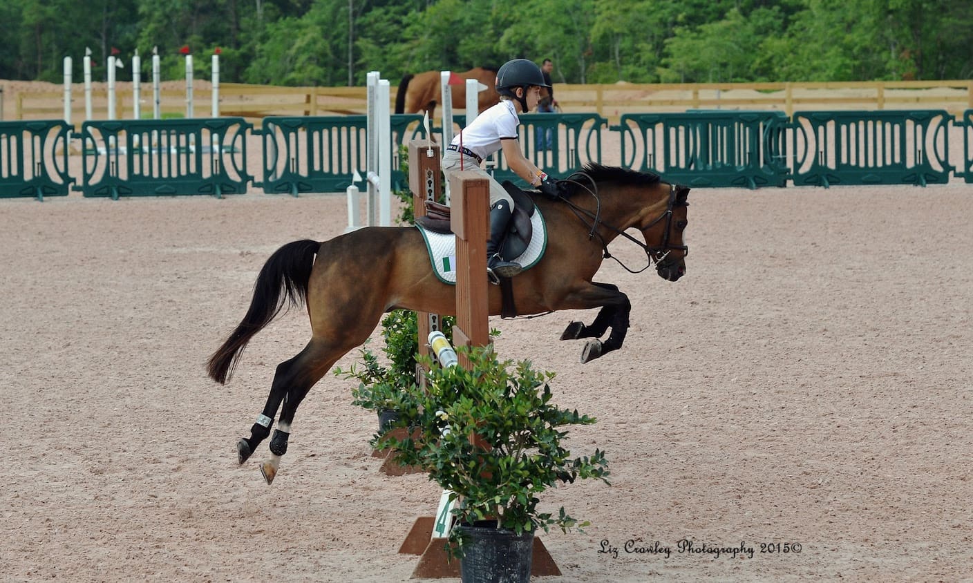 Summer Victories Continue in the Premier Equestrian 0.80m Low Jumper ...