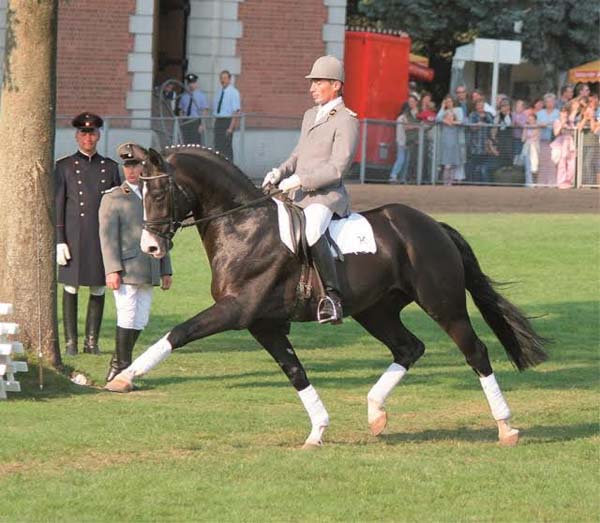 Rheinland PfalzSaar International’s Annual Stallion Service Auction