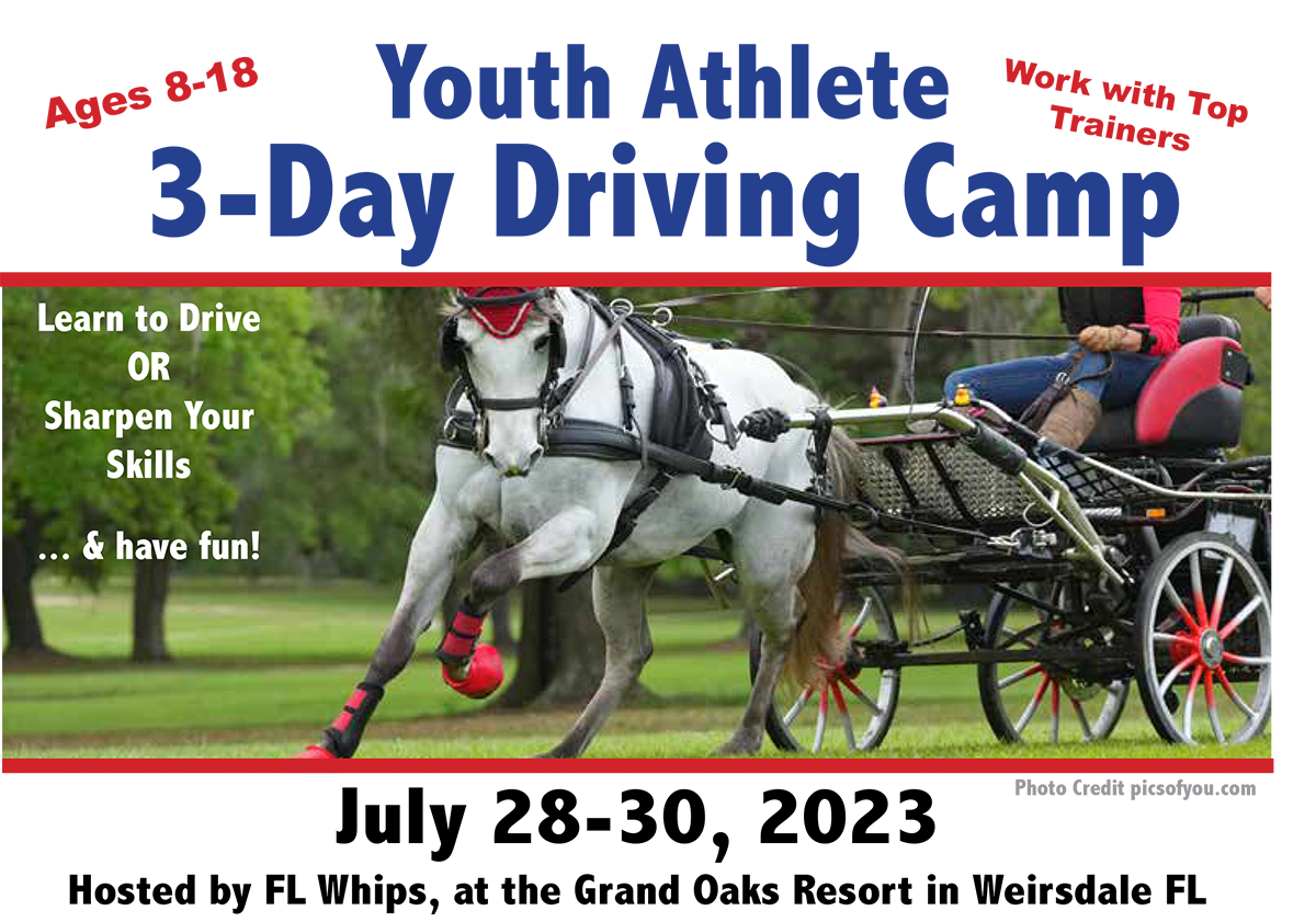 Youth Athlete Driving Camp