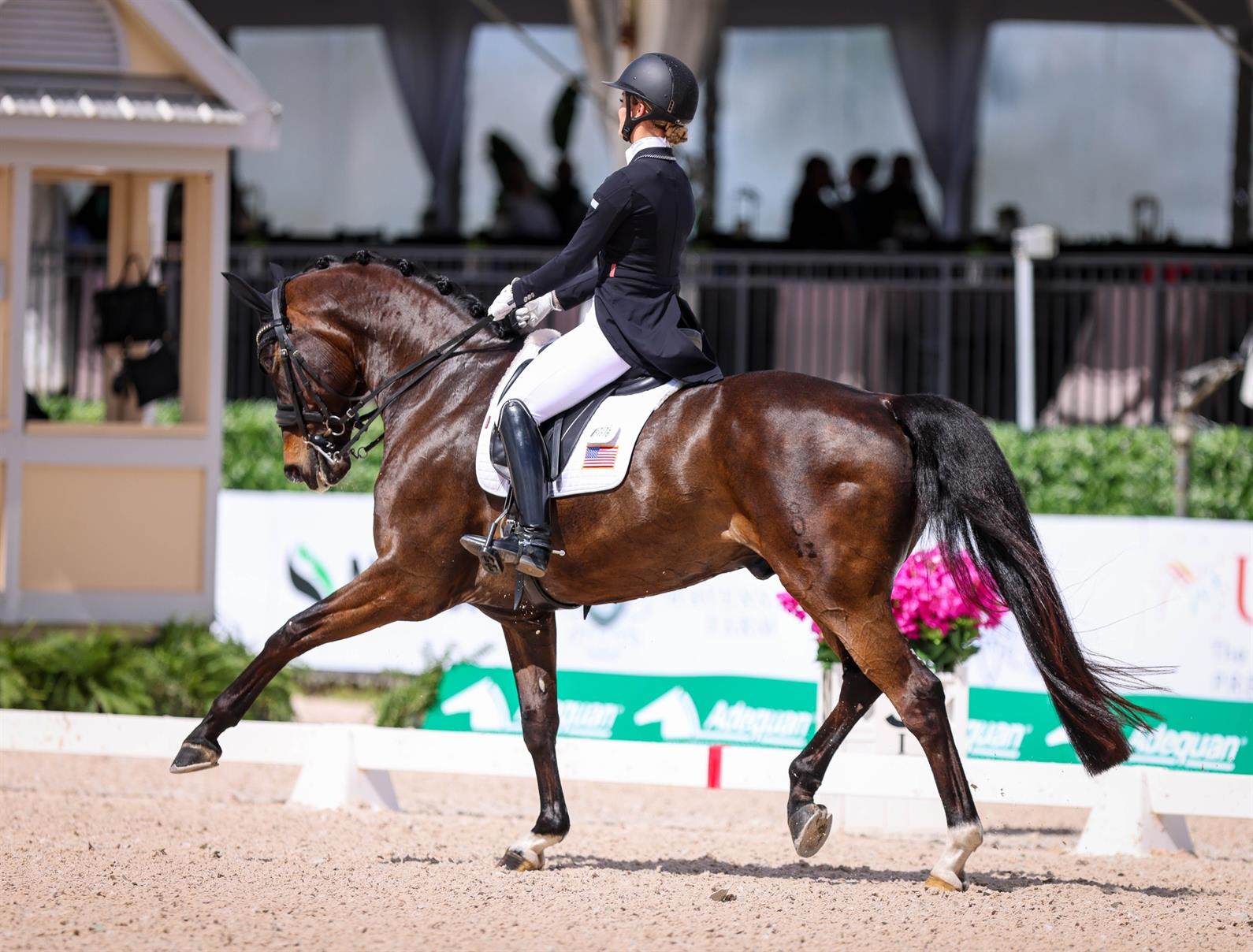 Siena Harris-Gissler and Status Royal OLD (Devyn Trethewey/US Equestrian)