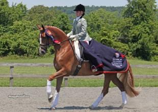 Alice Tarjan and Oldenburg mare Elfenfeuer (Florencio x Sion) participated in the Markel/USEF Young Horse Program. (Photo: Mary Phelps - phelpsphotos.com)